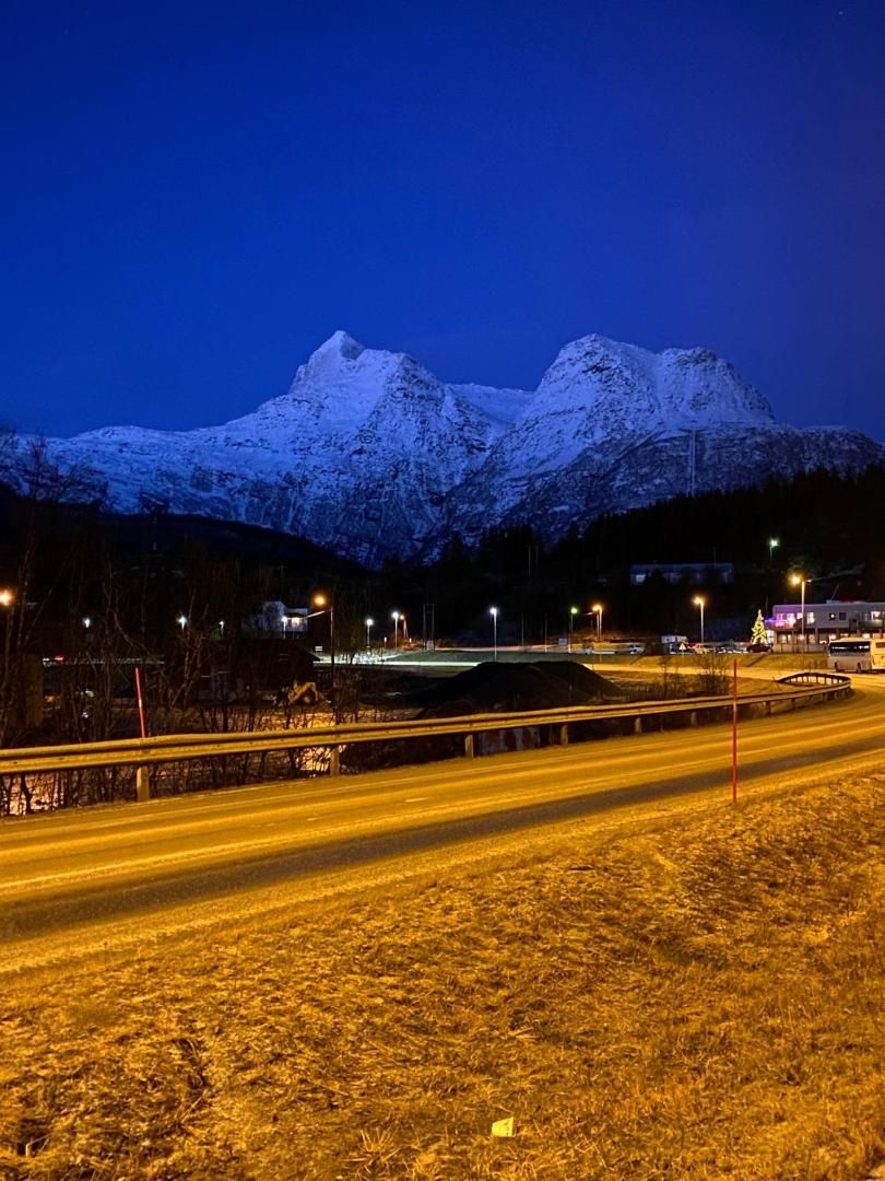 Snowy peaks above the road at night